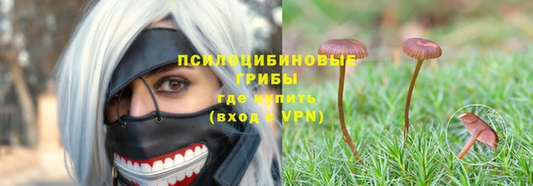 трава Ачинск