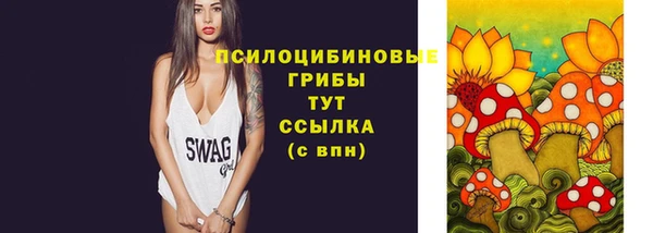 прущие грибы Артём