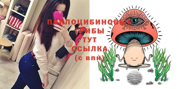 сатива Уссурийск