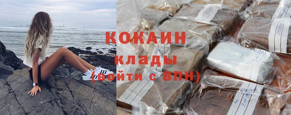 прущие грибы Артём
